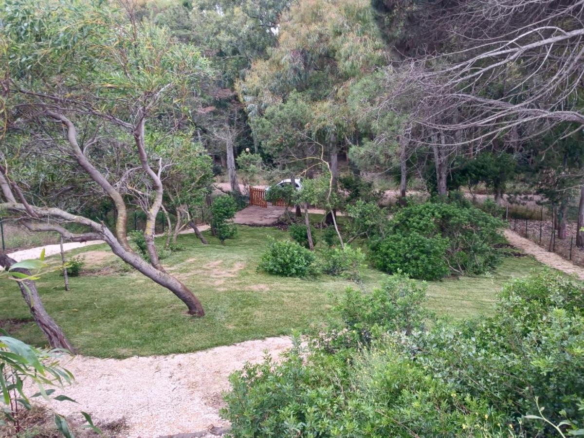 Villa Stella Marina Valledoria  Bagian luar foto