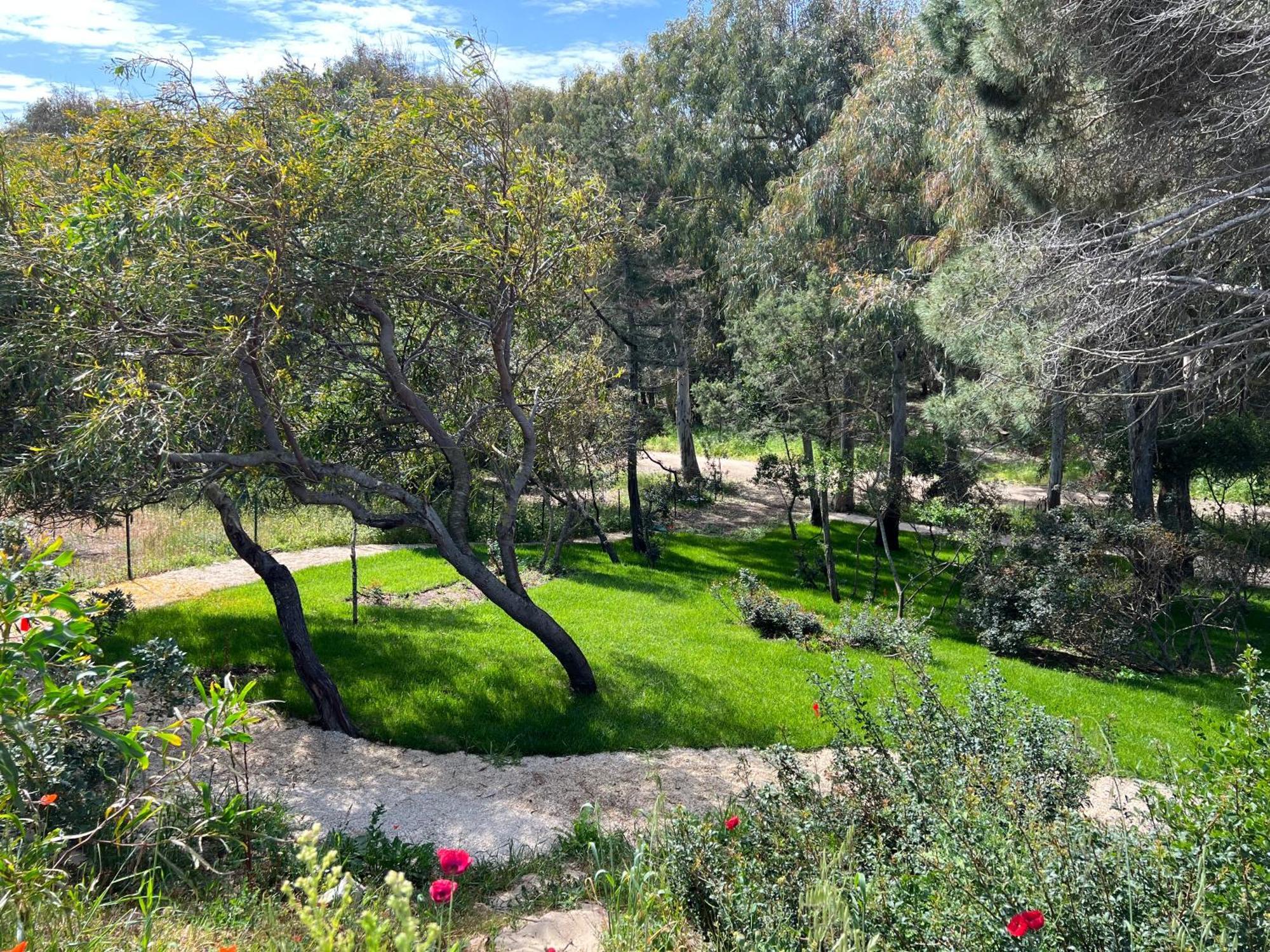 Villa Stella Marina Valledoria  Bagian luar foto